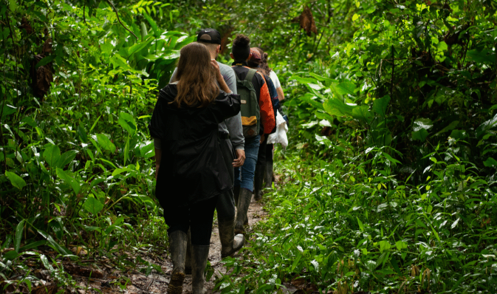 a group of people walking in line in a forest trail