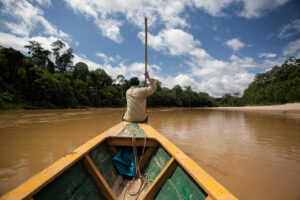 A man steers a boat on the Los Amigos River in the lowland Amazon rainforest