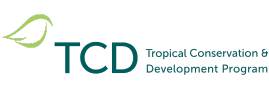 TCD