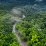A winding river flows through a dense green forest, with light mist above the trees.