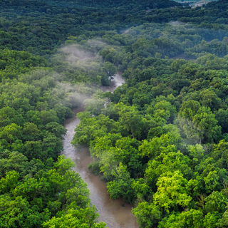 A winding river flows through a dense green forest, with light mist above the trees.