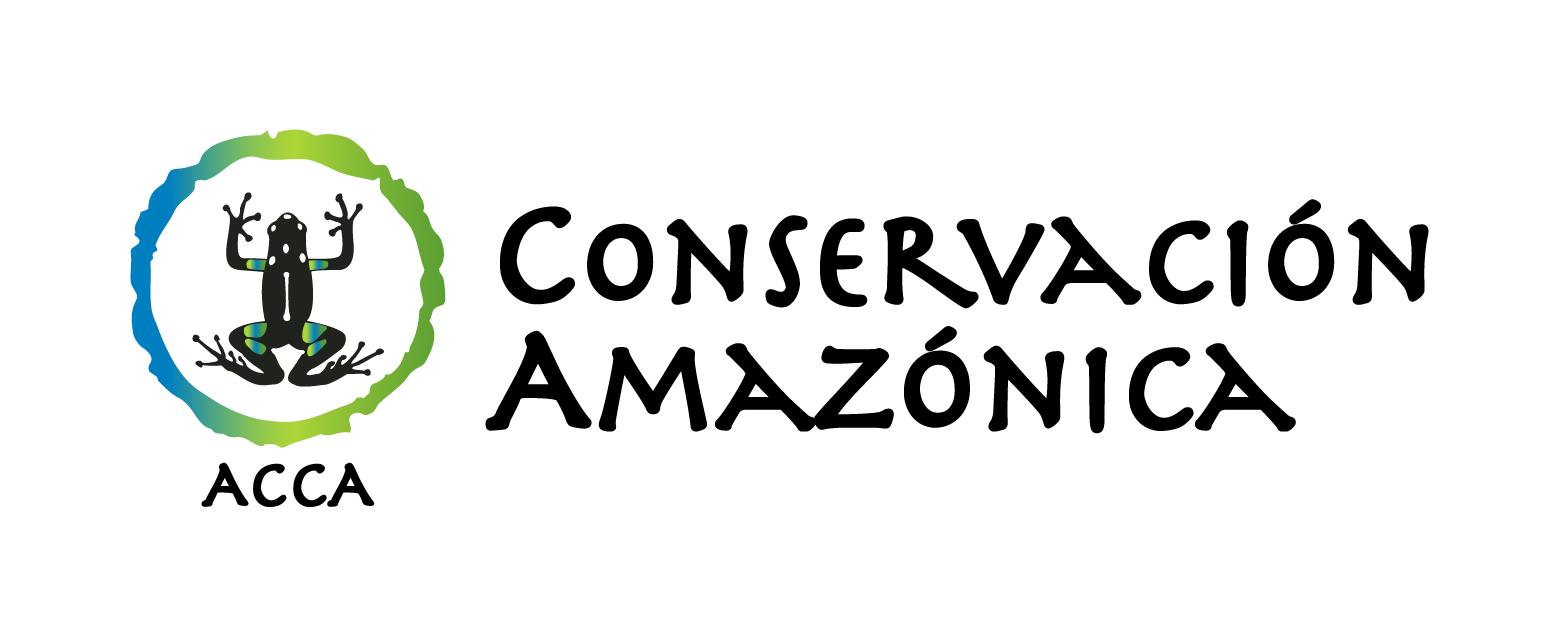 Logo ACCA 2020 secundario colores