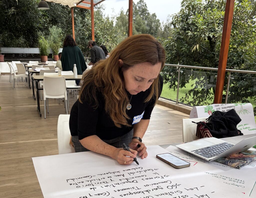 workshop participant writing with markers on a flipchart