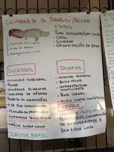 Poster made on flipchart with the case of co-management of a amazonian fish