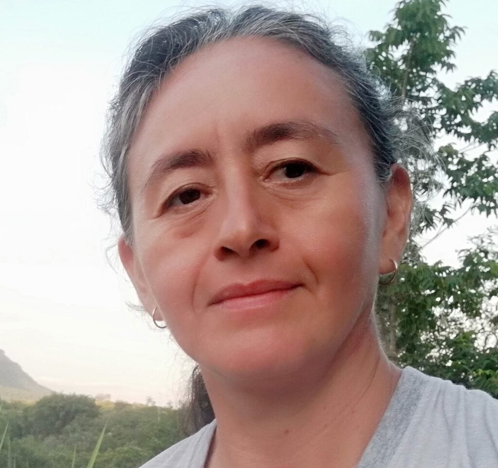 Marisol Toledo's profile picture