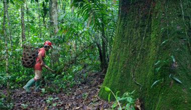 Collaborative Governance Centered on Indigenous Peoples and Local Communities Collaborative Governance Centered on Indigenous Peoples and Local Communities