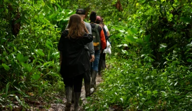 Reshaping-institutions-for-the-next-generation-of-leaders-in-Amazon-conservation Reshaping-institutions-for-the-next-generation-of-leaders-in-Amazon-conservation
