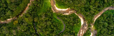banner_amazon-_1_ banner_amazon-_1_
